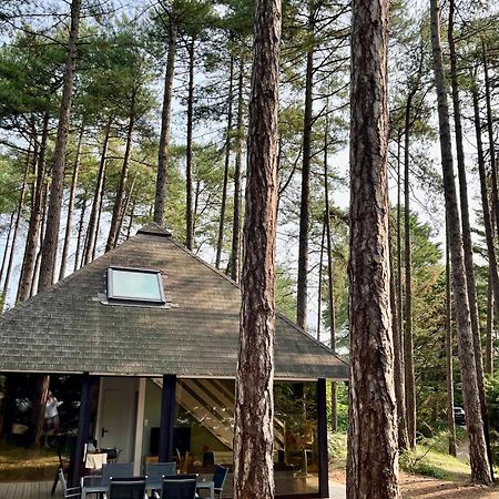 L Oree De La Pinede Hardelot Plage A 800 Metres De La Mer Sous Les Pins 外观 照片