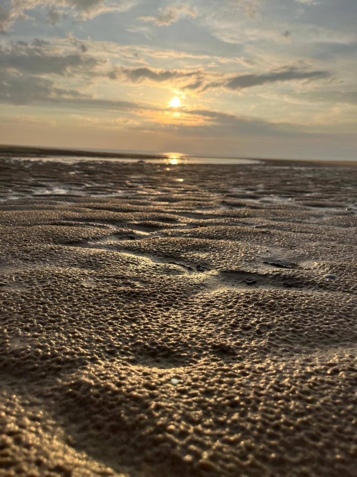L Oree De La Pinede Hardelot Plage A 800 Metres De La Mer Sous Les Pins 外观 照片