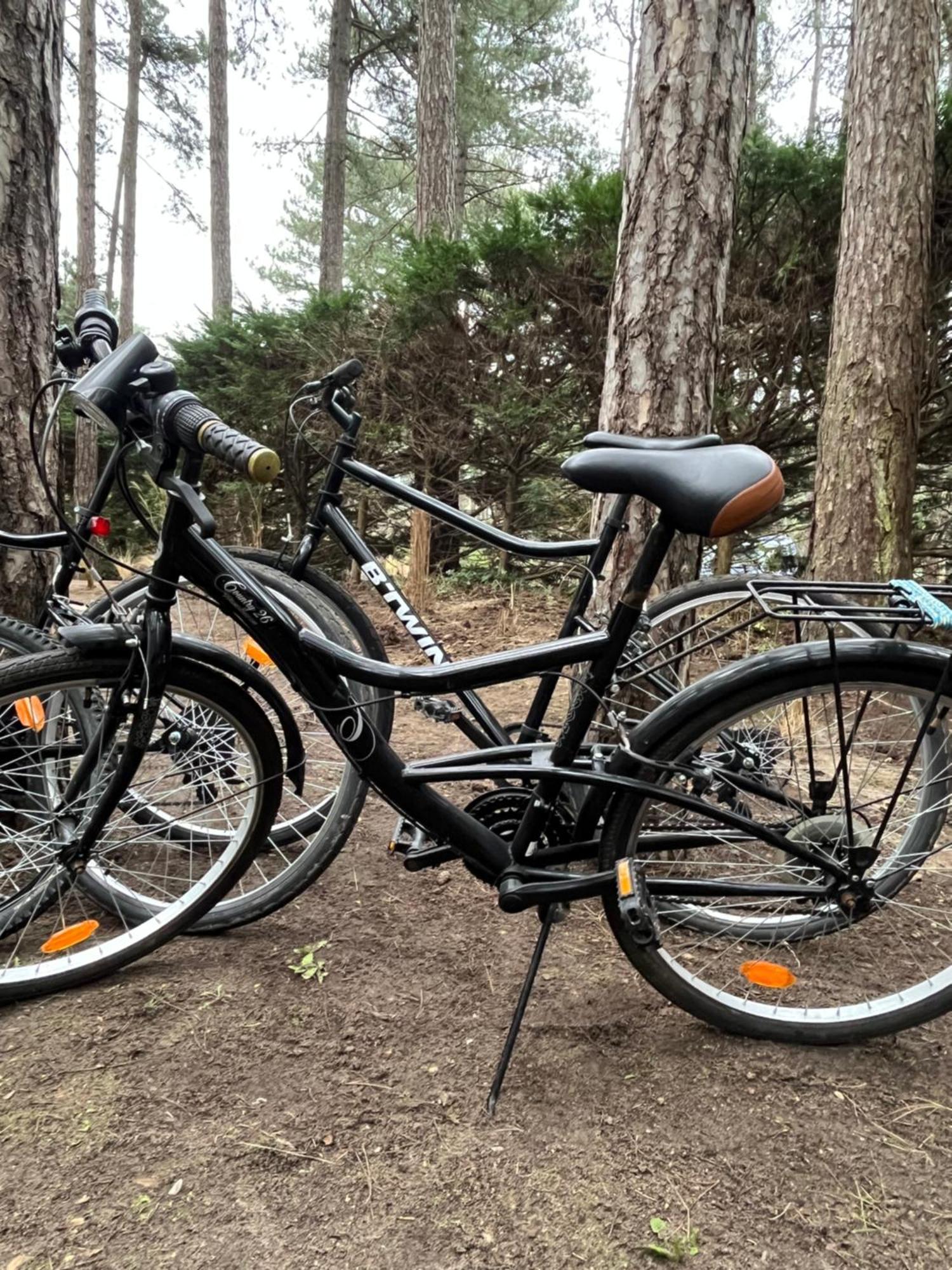 L Oree De La Pinede Hardelot Plage A 800 Metres De La Mer Sous Les Pins 外观 照片
